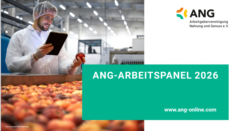 ANG-Arbeitspanel zur Beschäftigten- und Auszubildendensituation